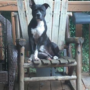 Meet your Posher, Yoselin